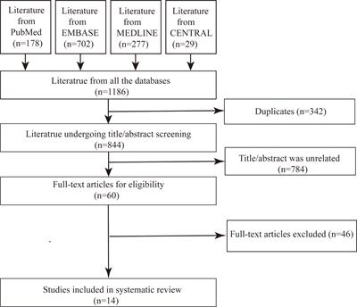 UGT1A1 Allele Test Not Only Minimizes the Toxicity But Also Maximizes the Therapeutic Effect of Irinotecan in the Treatment of Colorectal Cancer: A Narrative Review